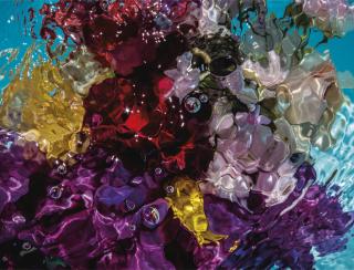 Gilles Bensimon - Flower in Water, 7931, 2012