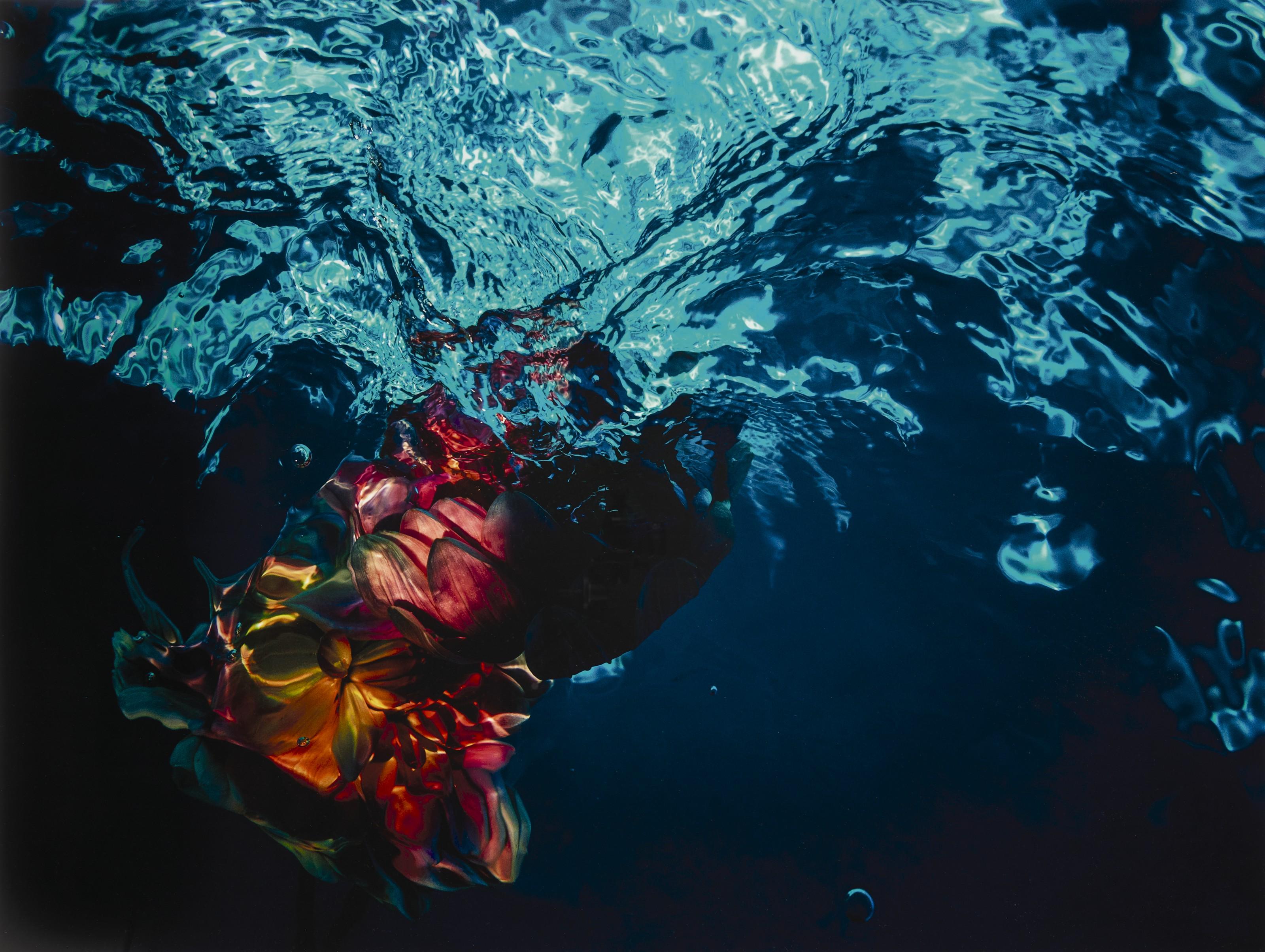 Gilles Bensimon - Flowers in Water, n°2242
