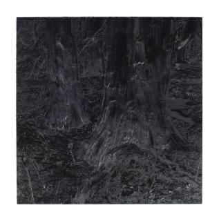 Gillian Carnegie - Black Square