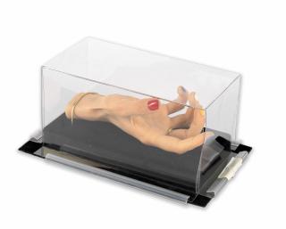 Gillian Wearing - My Hand