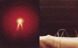 Gina Pane - Laure (Detail of the Action Laure, realized at Galerie Isy Brachot, Brussels, on April 28, 1977)