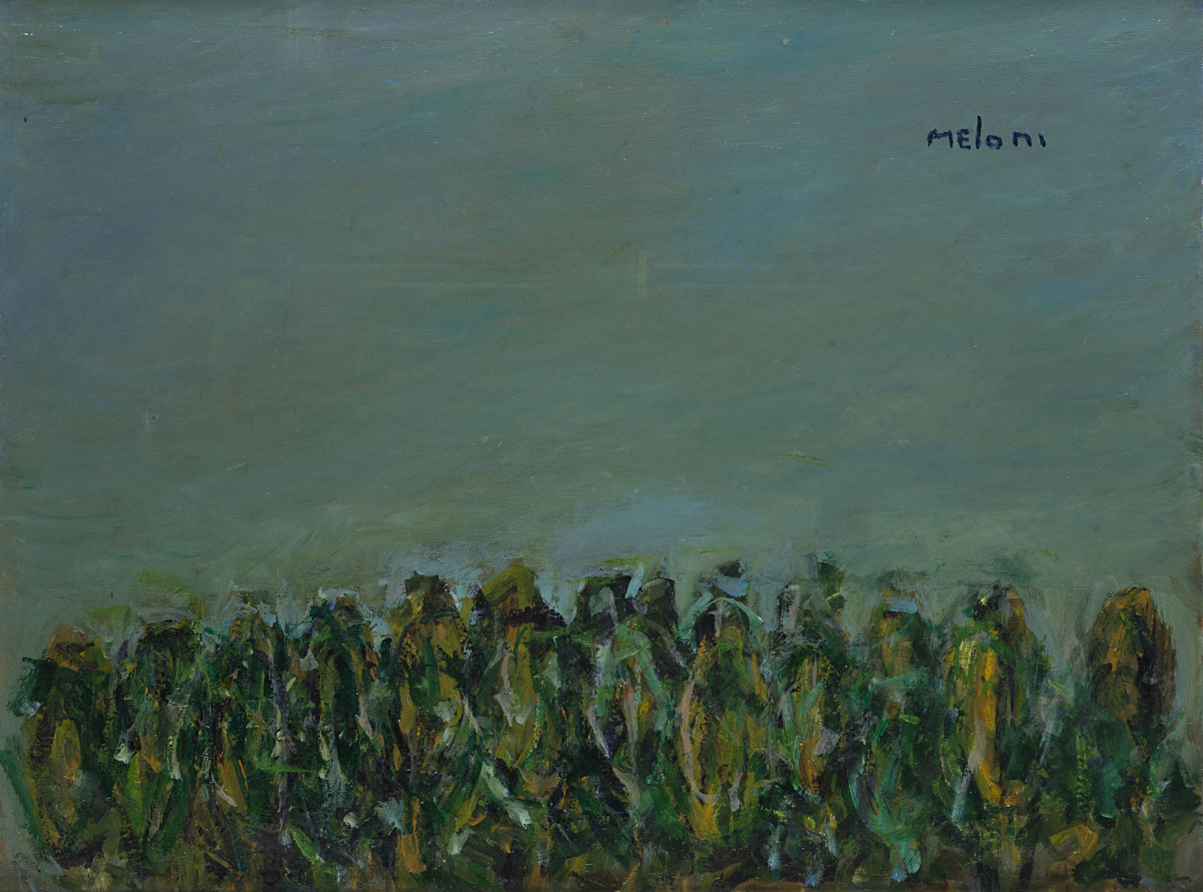 Gino Meloni - Granoturco