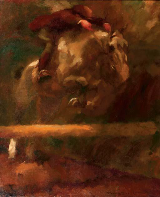 Gino Ritter von Finetti - The jump