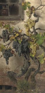 Giorgio Lucchesi - Red And White Grapes
