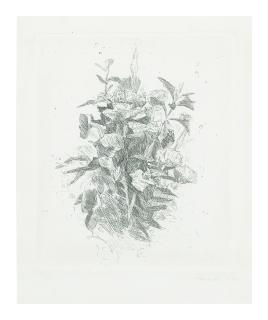 Giorgio Morandi - Fiori Di Campo (Vitali 78)