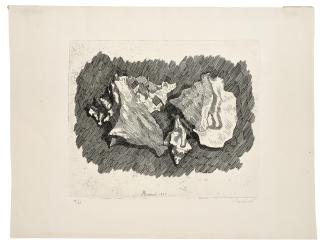 Giorgio Morandi - Natura morta con conchiglie
