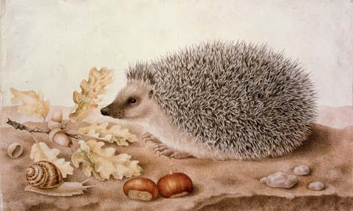 Giovanna Garzoni - A hedgehog in a landscape