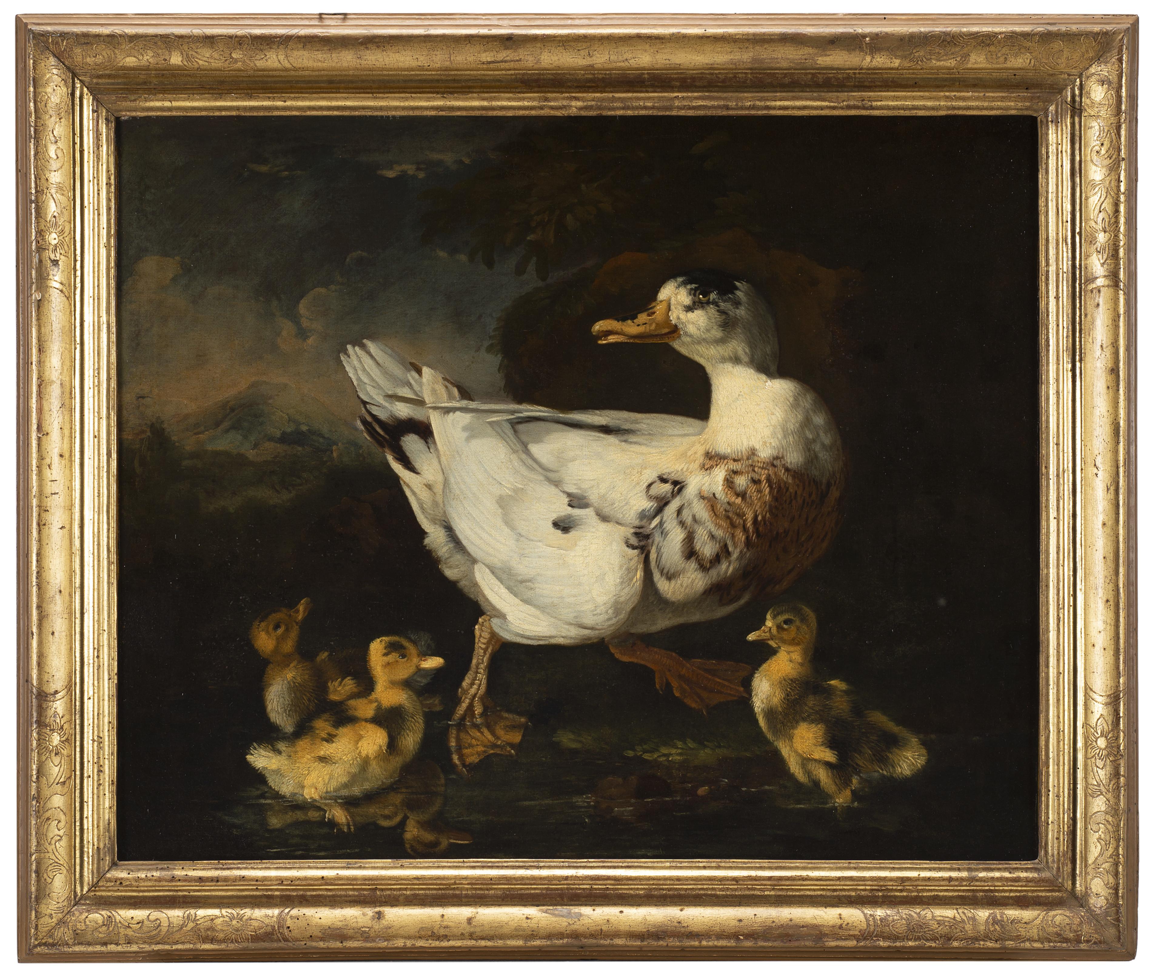 Giovanni Agostino Cassana - Composizione con anatra e i suoi anatroccoli