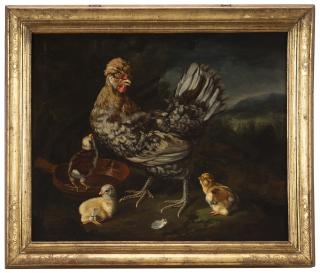 Giovanni Agostino Cassana - Composizione con pollo e pulcini
