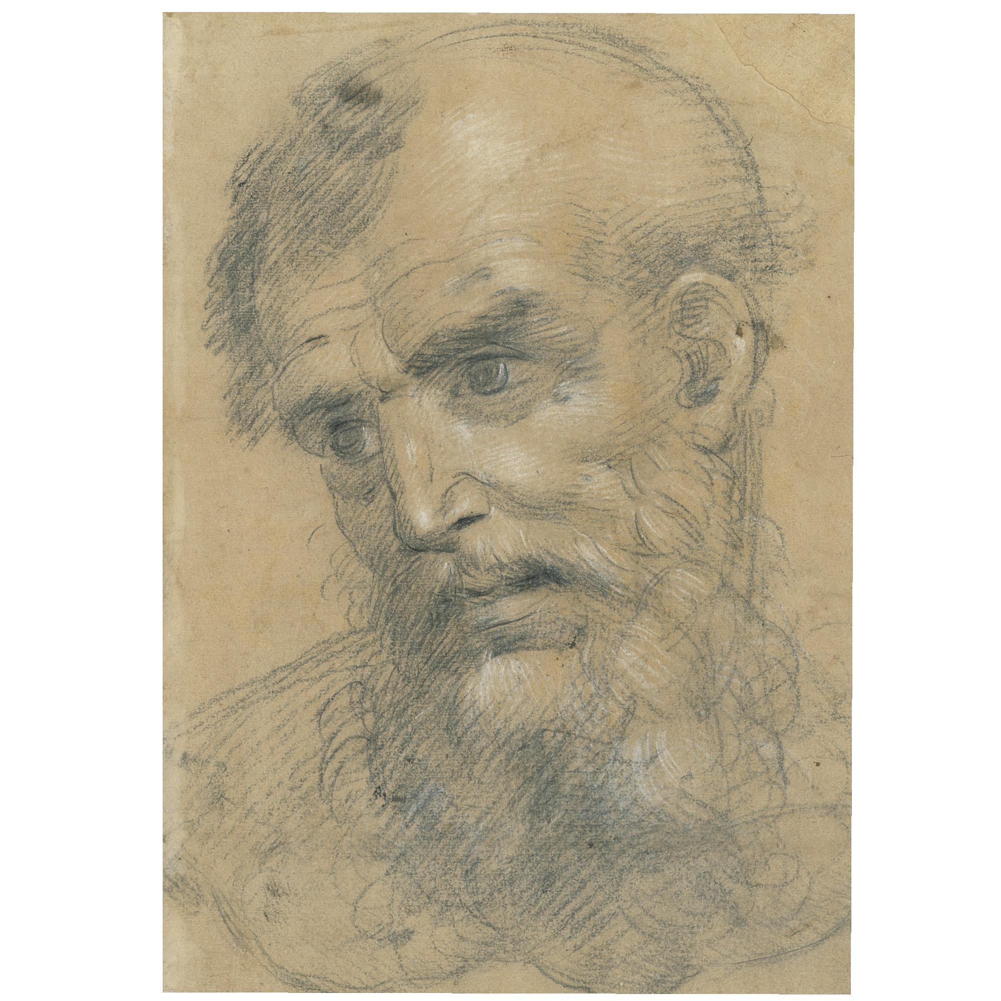 Giovanni Antonio Sogliani - Recto: The Head Of A Bearded Man Inclined To The Left; Verso: Study For A Madonna And Child With Saints