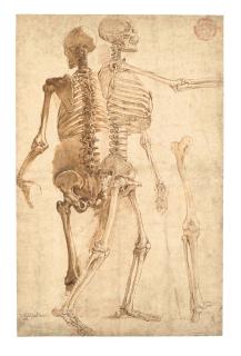 Giovanni-Battista Franco - Deux Études De Squelettes