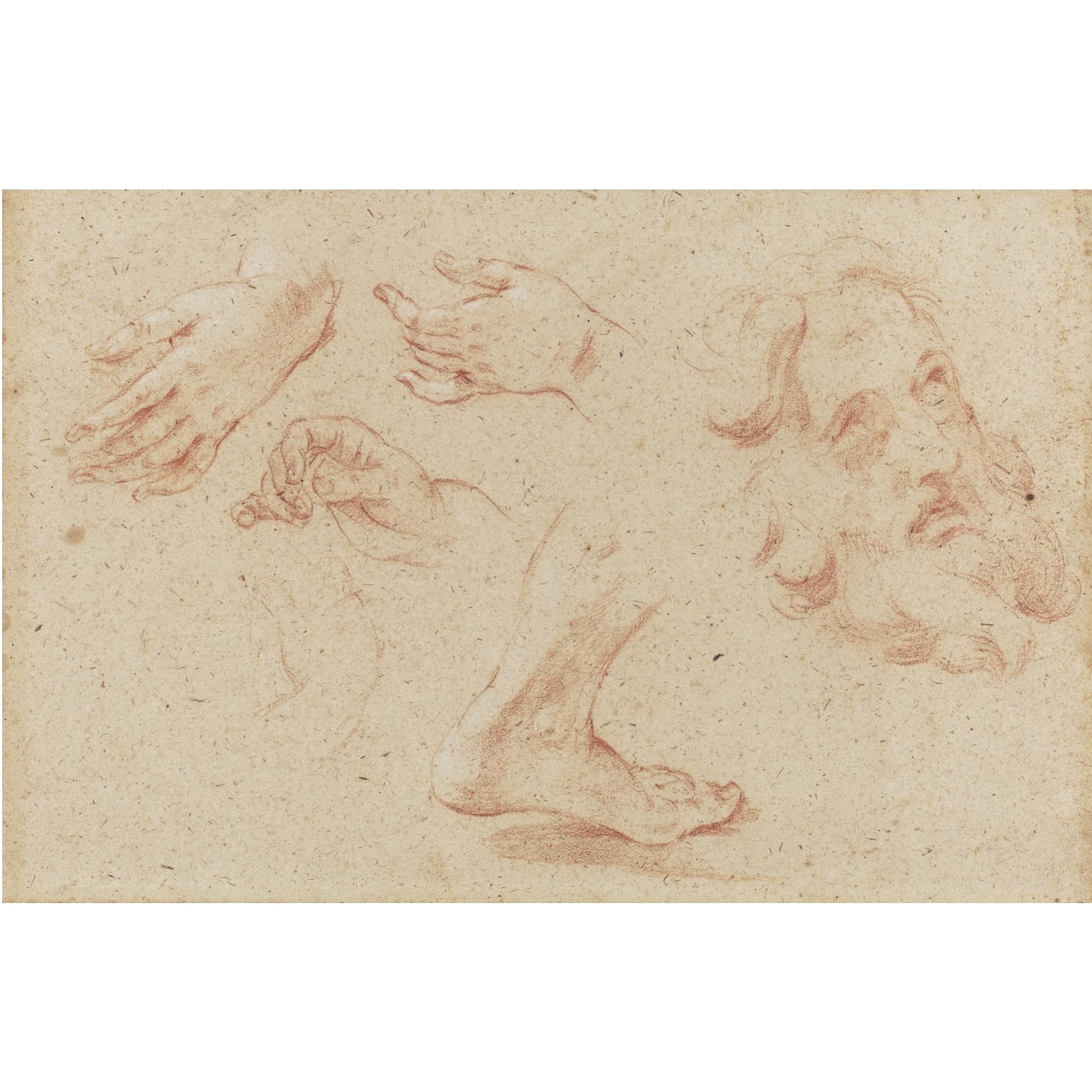 Giovanni Battista Gaulli - Sheet Of Studies Of Hands, A Foot And The Head Of A Bearded Man