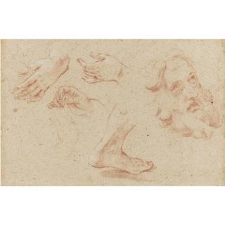 Giovanni Battista Gaulli - Sheet Of Studies Of Hands, A Foot And The Head Of A Bearded Man