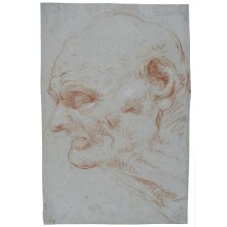 Giovanni Battista Tiepolo - Head Of Seneca In Profile, Looking To The Left  
