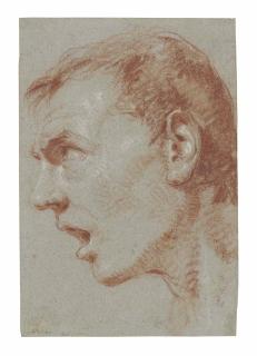 Giovanni Battista Tiepolo - Tête d\'homme de profil, la bouche ouverte