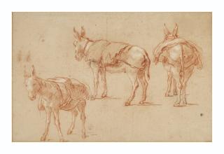 Giovanni Battista Tiepolo - Three studies of a donkey
