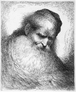 Giovanni Benedetto Castiglione - Kopf eines bärtigen Alten.