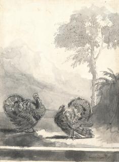 Giovanni Domenico Tiepolo - Zwei Truthähne in einer Berglandschaft