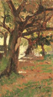 Giovanni Fattori - A Shady Path