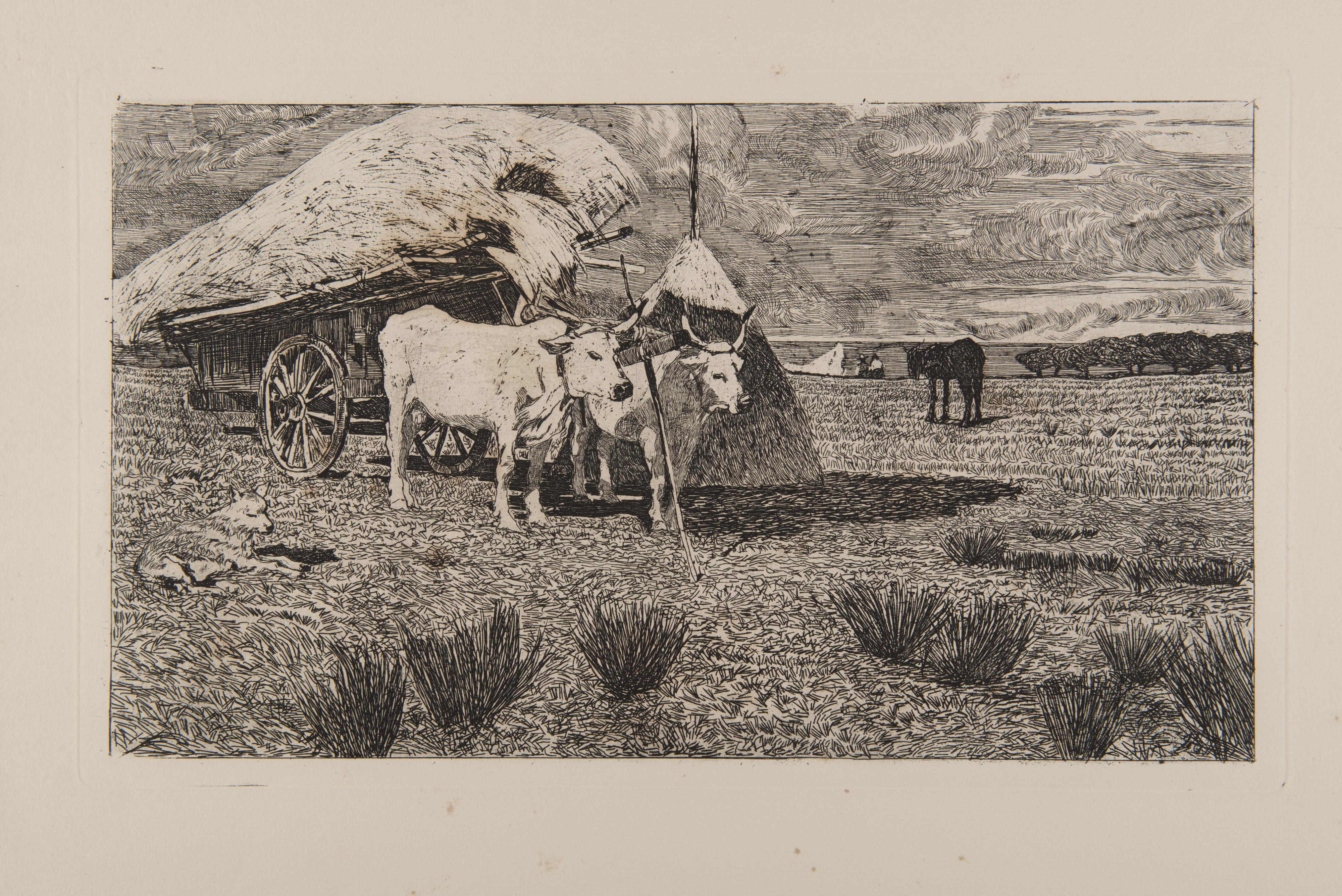 Giovanni Fattori - Oxen and wagon
