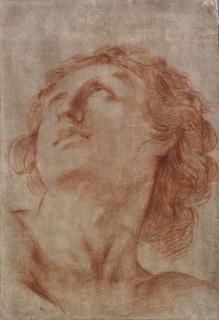 Giovanni Francesco Barbieri, Il Guercino - Head of a youth, looking up