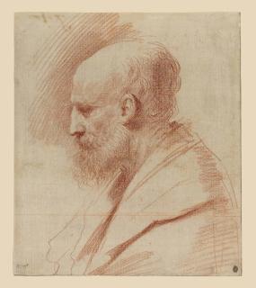 Giovanni Francesco Barbieri - Head of St. Joseph, in profile to the left