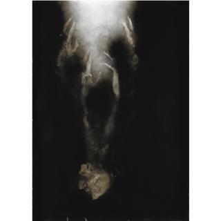 Giovanni Manfredini - Natura Morta