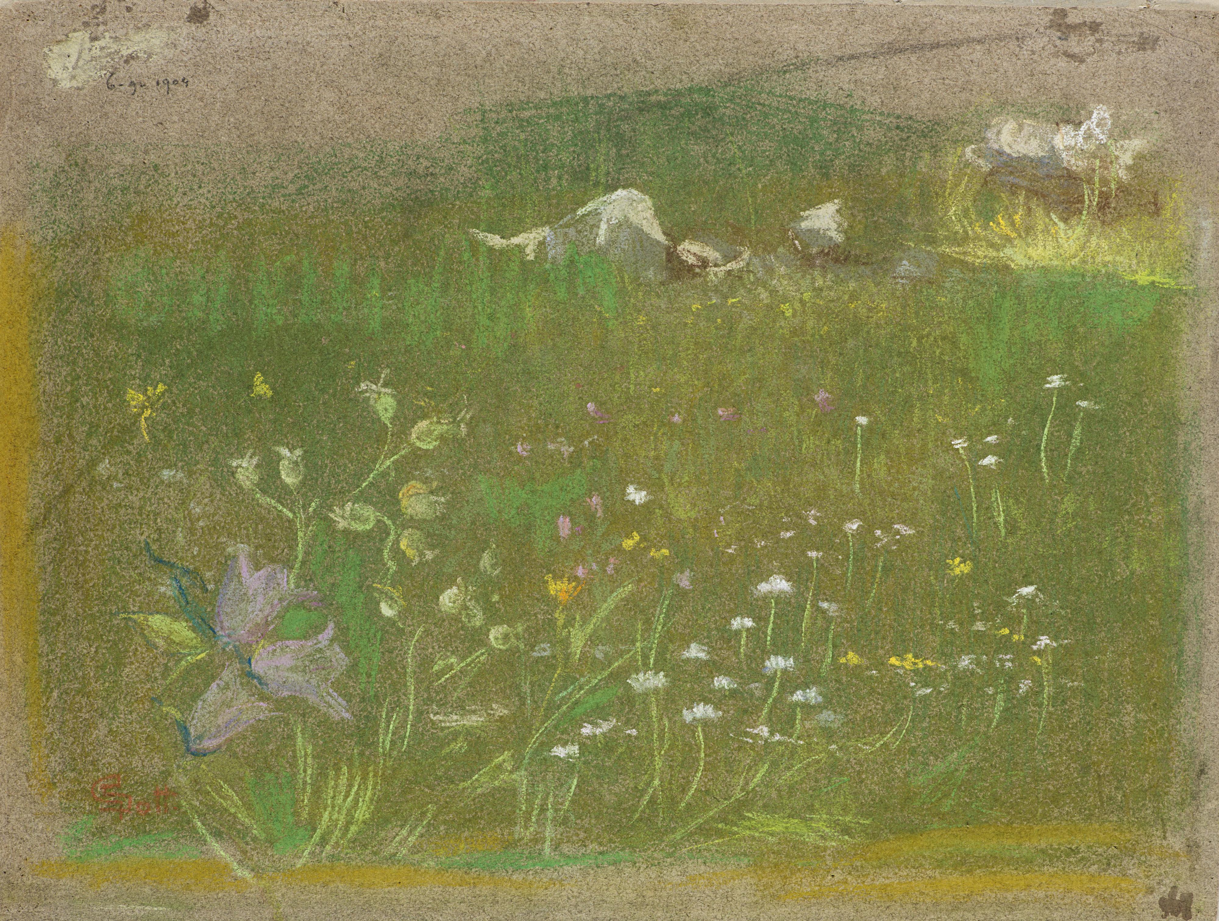 Giovanni Sottocornola - Prato fiorito