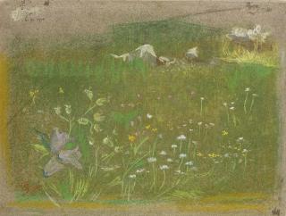 Giovanni Sottocornola - Prato fiorito