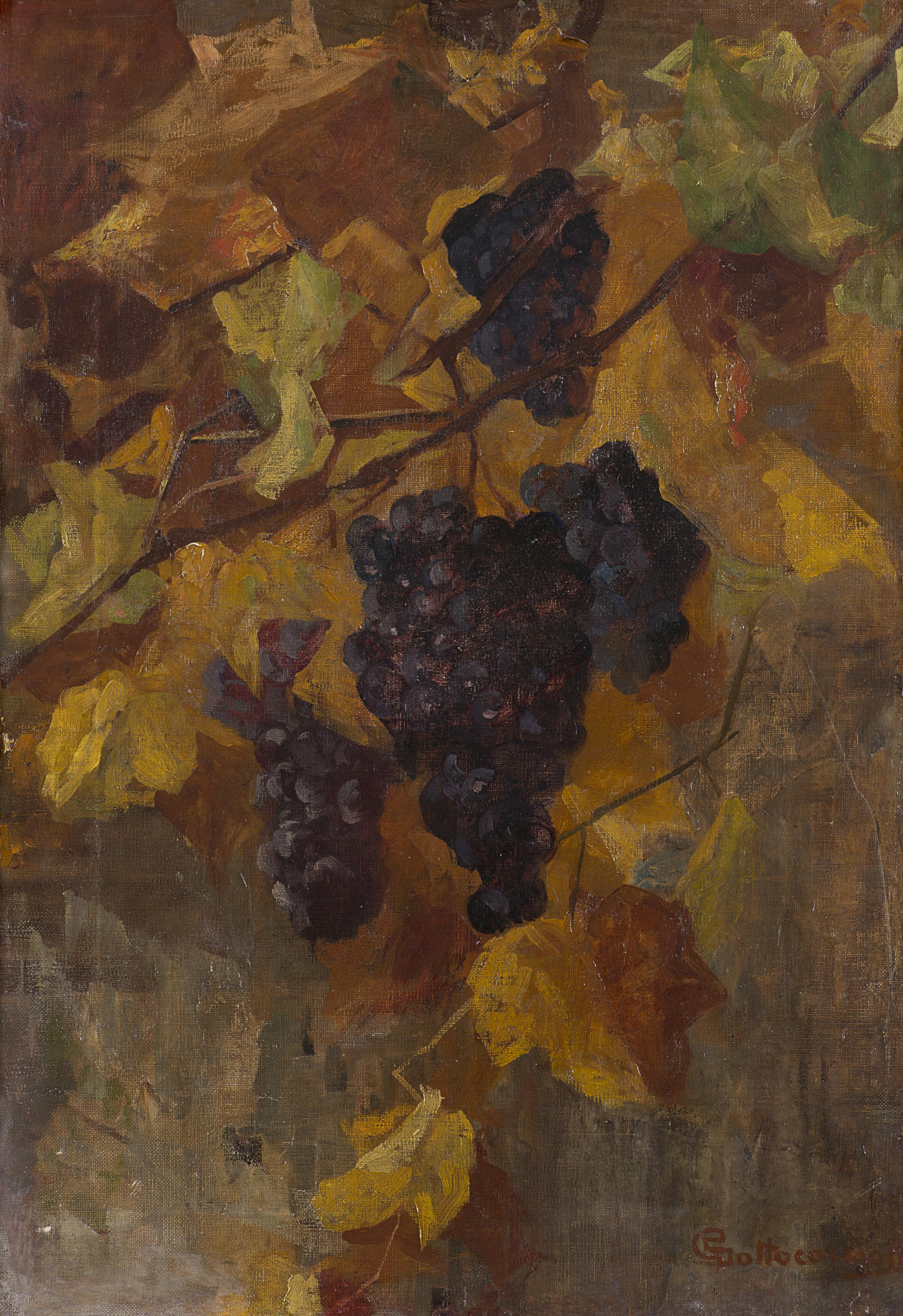 Giovanni Sottocornola - Uva