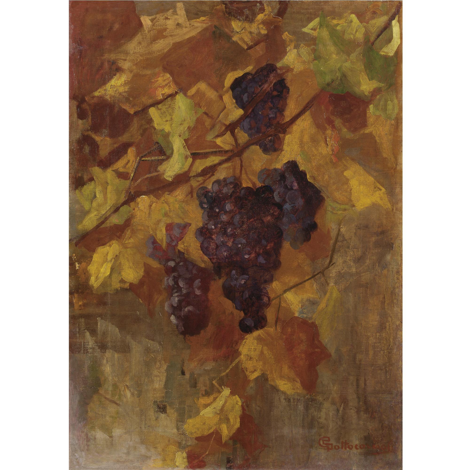 Giovanni Sottocornola - Uva