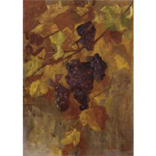 Giovanni Sottocornola - Uva