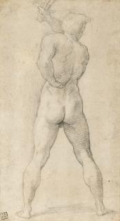 Girolamo Francesco Maria Mazzola - A male nude seen from the back, brandishing a sword
