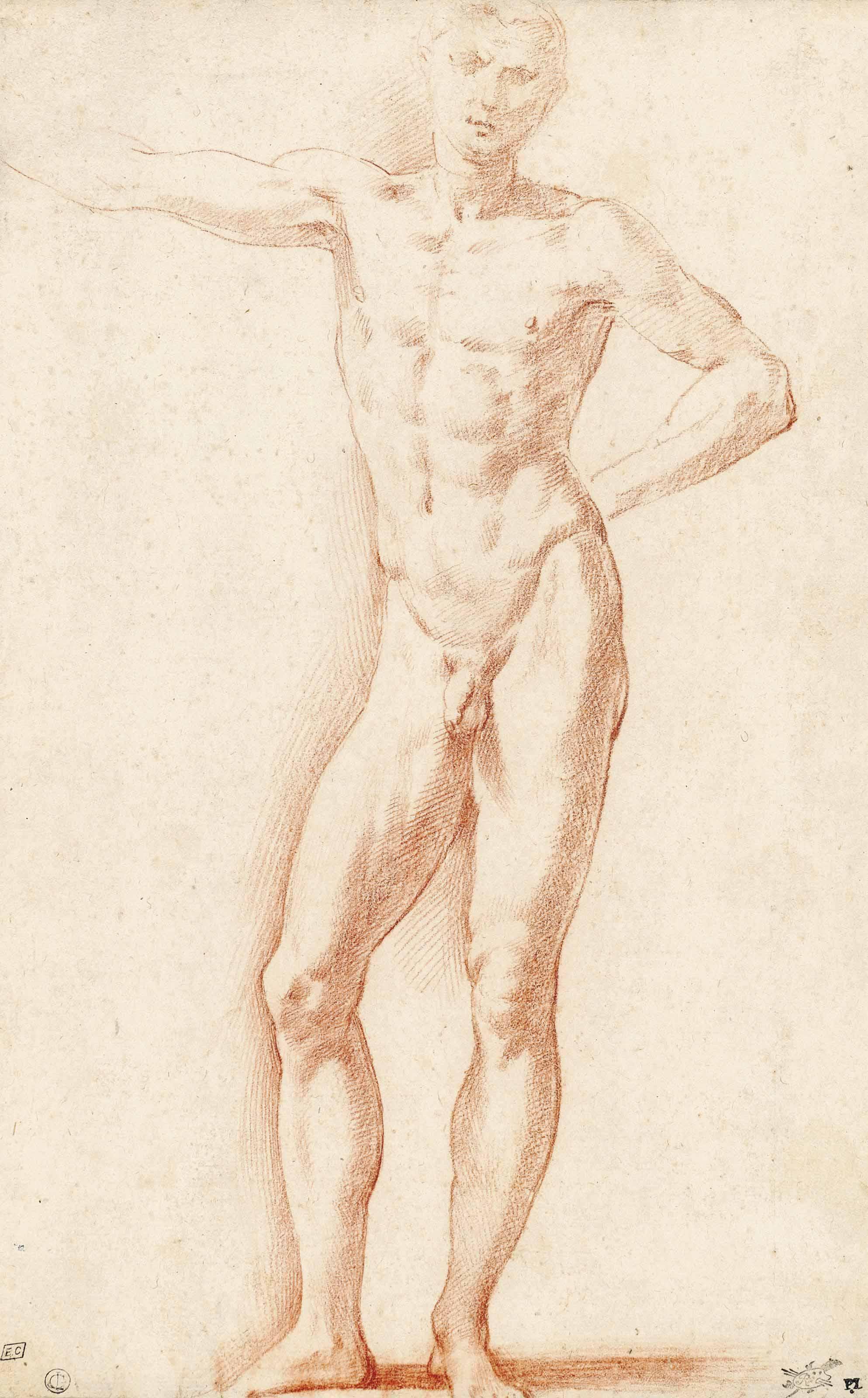 Girolamo Francesco Maria Mazzola - A Male Nude