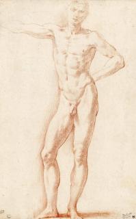 Girolamo Francesco Maria Mazzola - A Male Nude