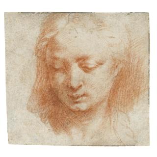 Girolamo Francesco Maria Mazzola - The Head Of A Woman, Looking Down To The Left
