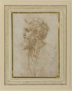 Girolamo Francesco Mazzola - Head Of A Bearded Man In Profile Facing Left, Possibly A Self-Portrait