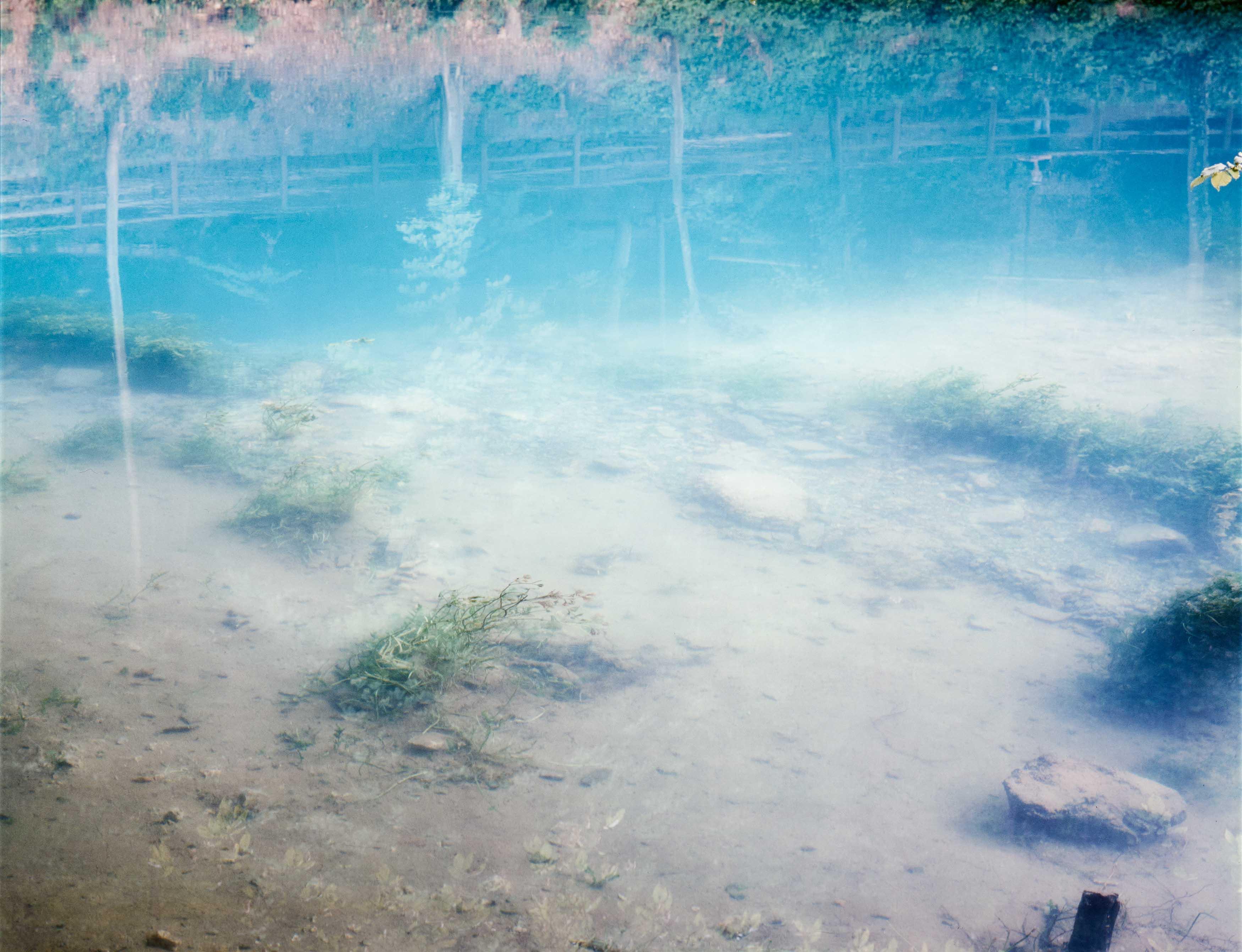 Gisela Bullacher - \