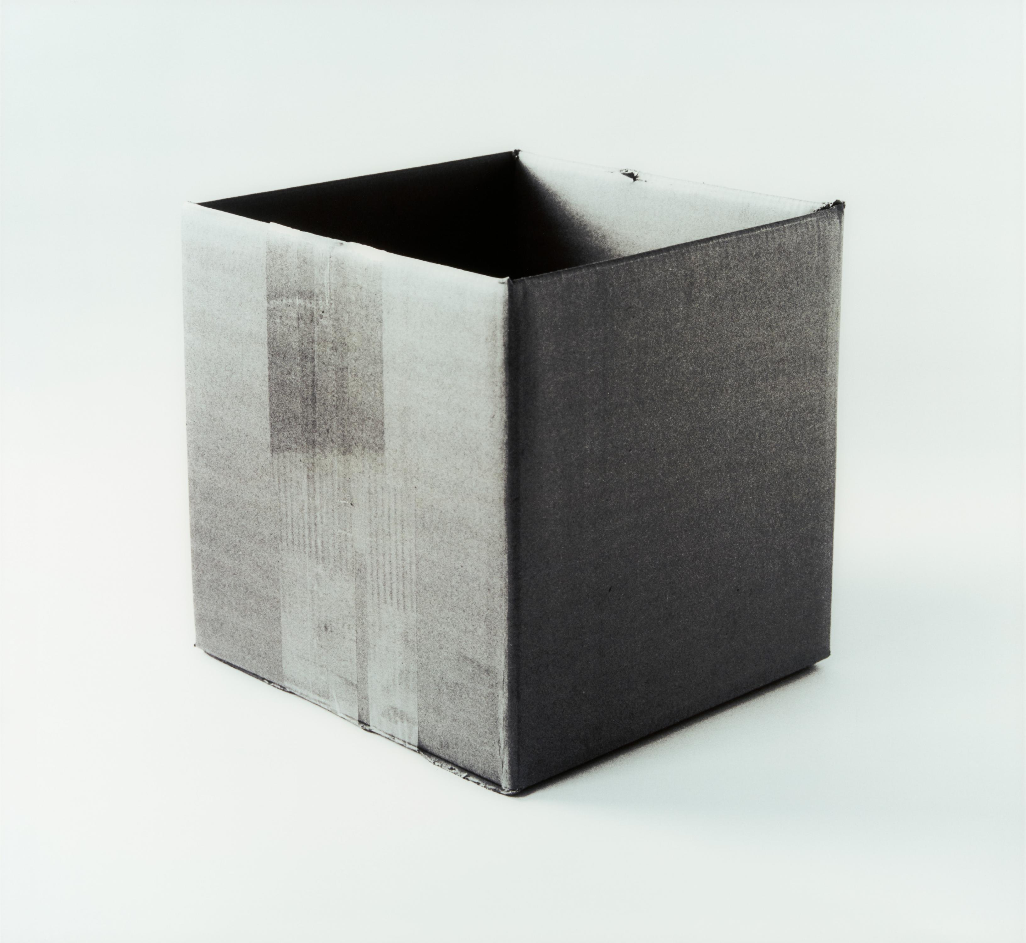 Gisela Bullacher - Karton