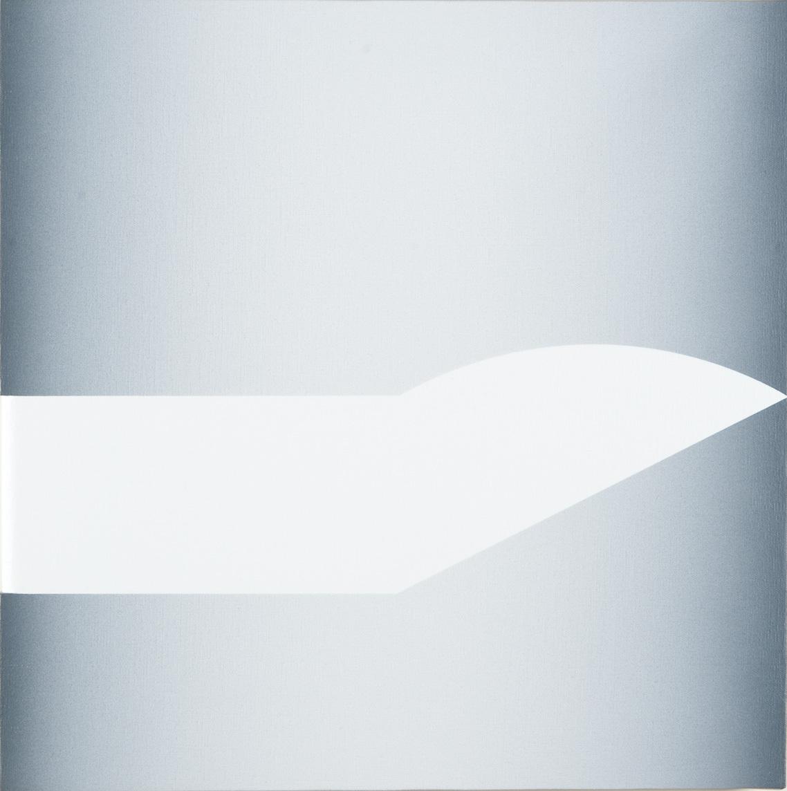 Giuliano Barbanti - SDS grigio e linea