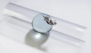 Giulio Paolini - Belvedere