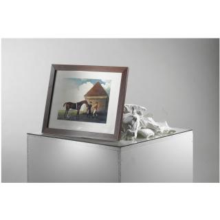 Giulio Paolini - Eclipse (Painted By George Stubbs)