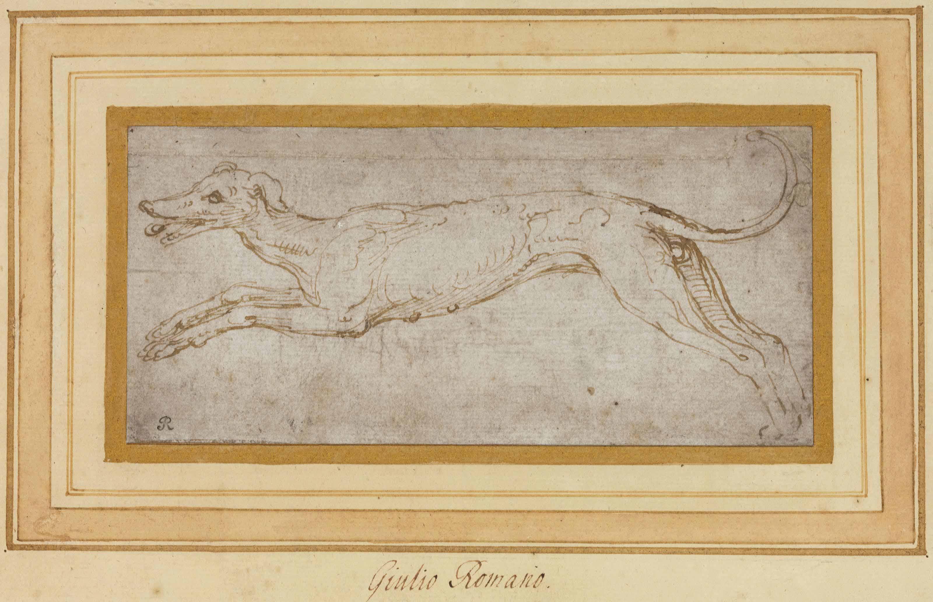 Giulio Pippi - A Leaping Hound