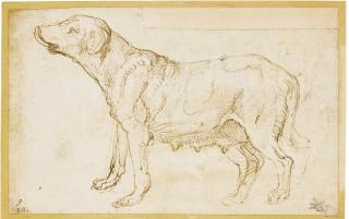 Giulio Romano - Recto: Study Of A Bitch Verso: Her Head In Profile 