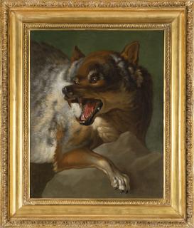 Giuseppe Baldrighi - Wolf, 1752 - 1756 circa