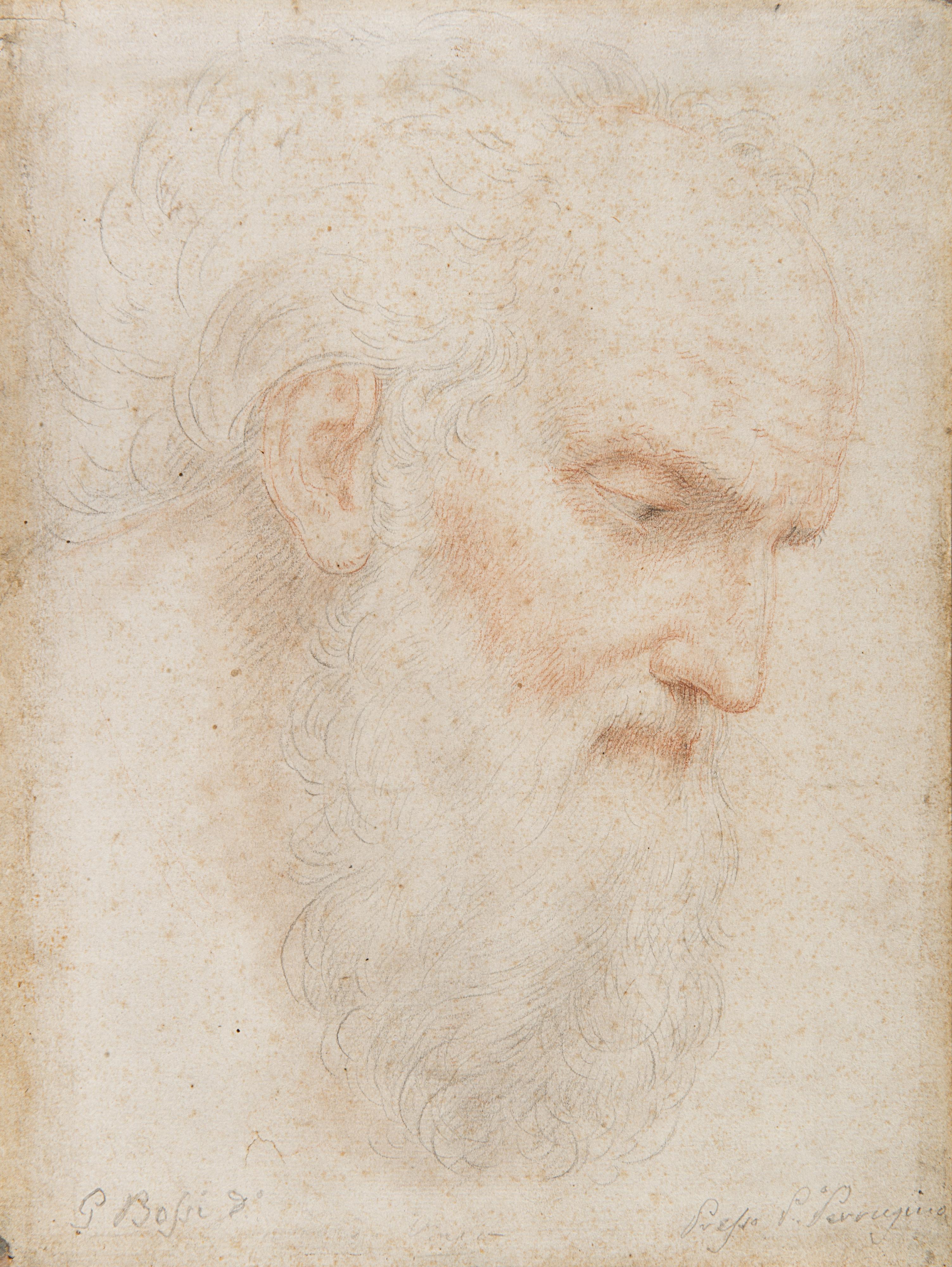 Giuseppe Bossi - Head of an old man with beard