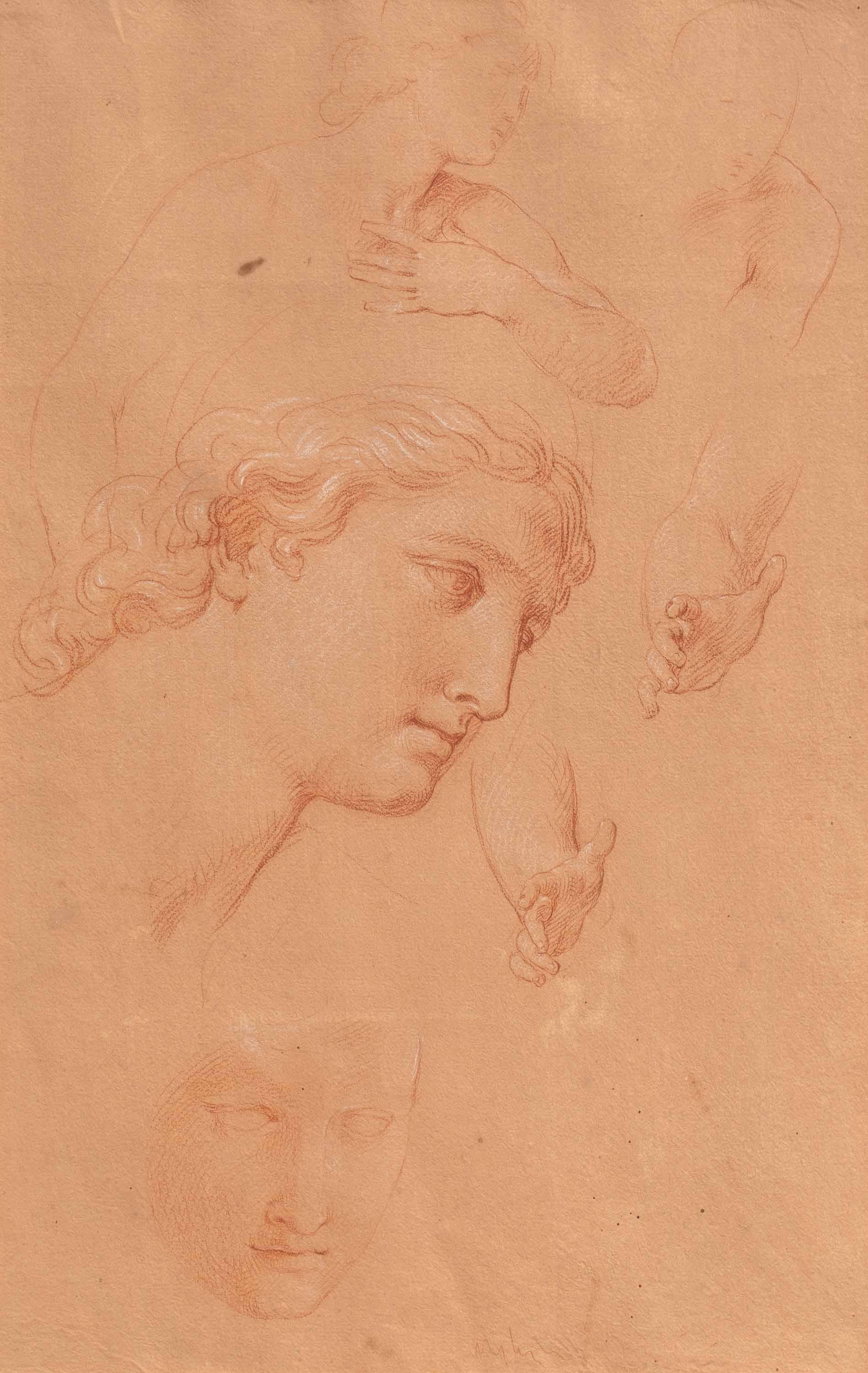 Giuseppe Bottani - Studie der Köpfe, Hände und des männlichen Oberkörpers.