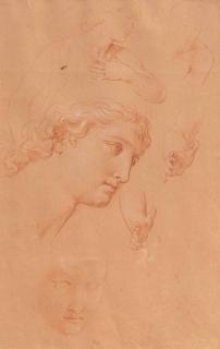 Giuseppe Bottani - Studie der Köpfe, Hände und des männlichen Oberkörpers.