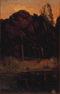 Giuseppe Cadenasso - Eucalypti