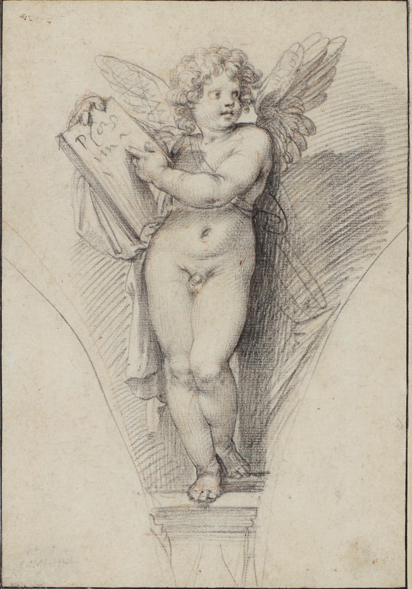 Giuseppe Cesari - A Standing Putto in a Drawn Spandrel Holding a Tablet, his Head turned to the Right